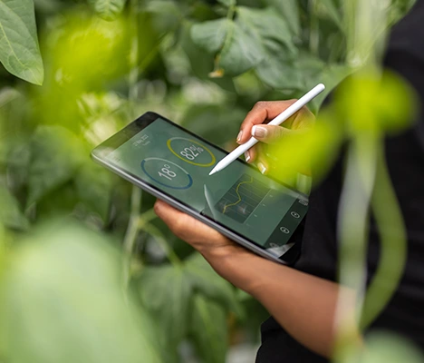React Native Application for Silage Control for the Agricultural Giant Corteva - Thumbnai